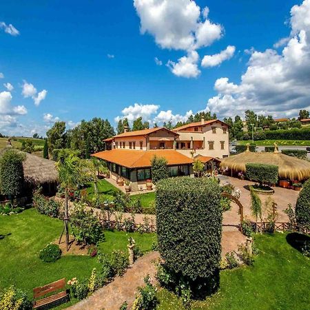 Agriturismo 4 Ricci Cerveteri Buitenkant foto