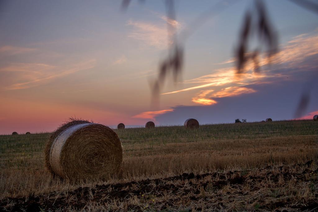 Agriturismo 4 Ricci Cerveteri Buitenkant foto